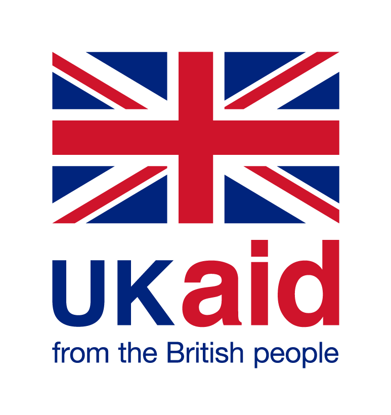 Uk aid for websites large