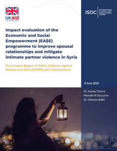 BLRS VAWG Evidence Brief