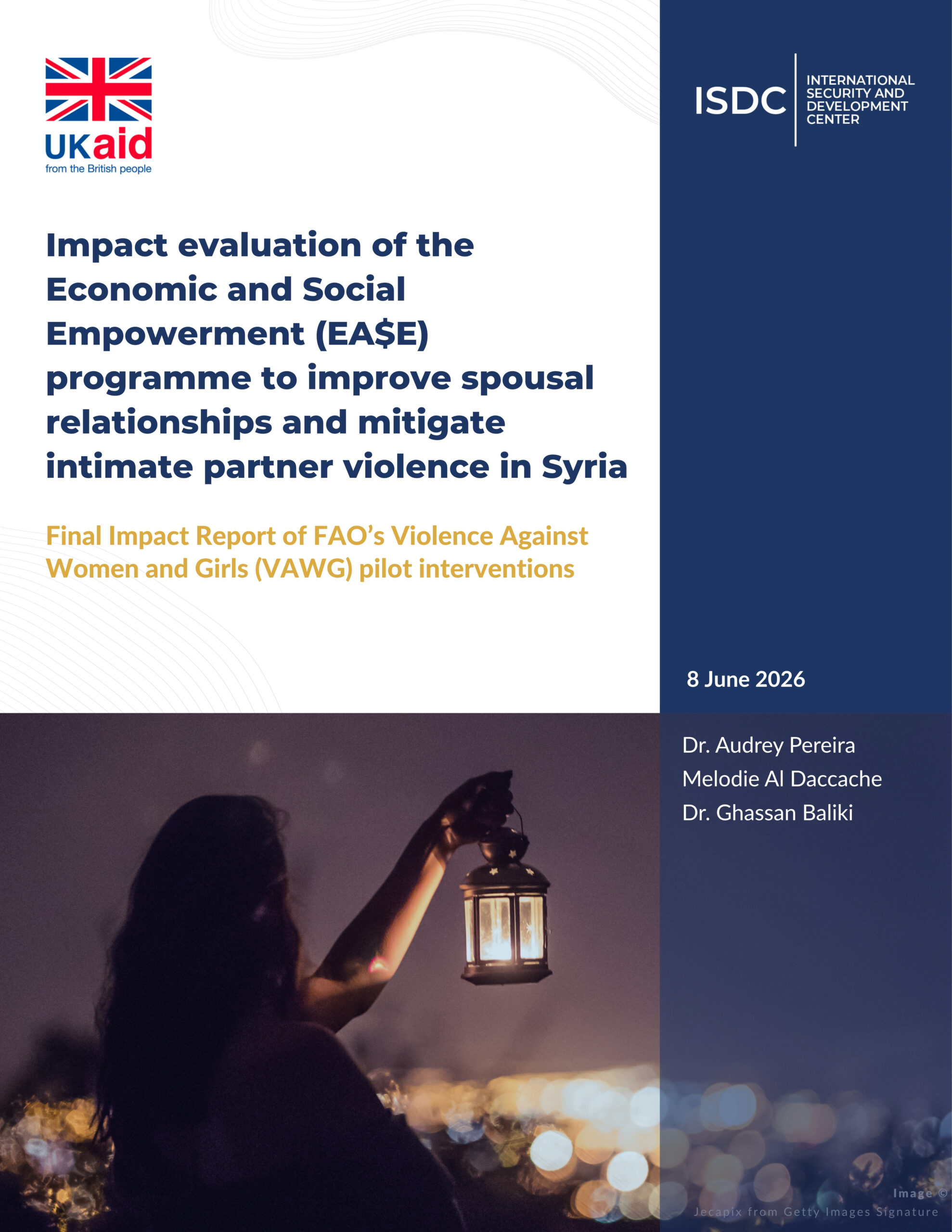 BLRS VAWG Evidence Brief