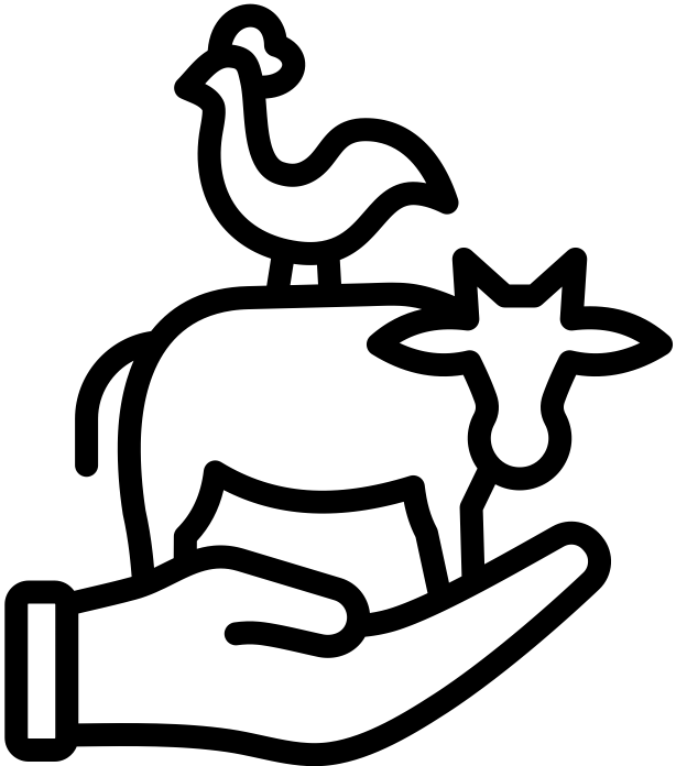 Int C5